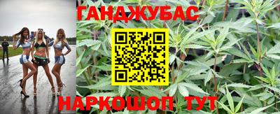 гашик Бузулук