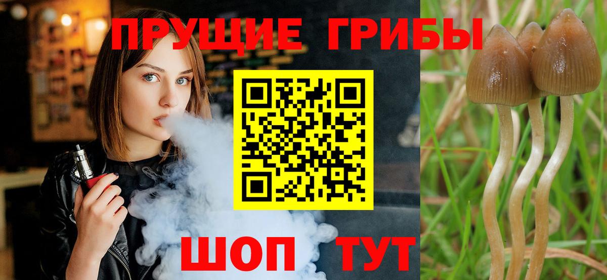 Псилоцибиновые грибы мухоморы  Вход с VPN  Менделеевск 